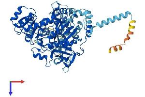 AlphaFold protein structure predicition of Human Recombinant ACSL6 Protein, UniprotID Q9UKU0