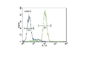 HMGCS2 Antibody (C-term) (ABIN390764 and ABIN2841022) flow cytometric analysis of HepG2 cells (right histogram) compared to a negative control cell (left histogram). (HMGCS2 anticorps  (C-Term))