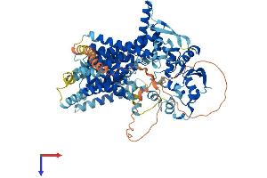 AlphaFold protein structure predicition of Mouse Recombinant Dpy19l2 Protein, UniprotID P0CW70