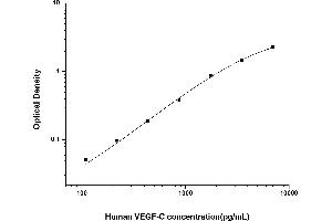 Vascular Endothelial Growth Factor C (VEGFC) ELISA Kit