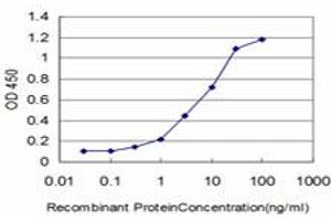 Detection limit for recombinant GST tagged FLT4 is approximately 0. (FLT4 anticorps  (AA 34-133))