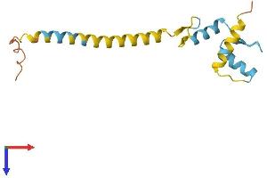 AlphaFold protein structure predicition of Human Recombinant ZNF818P Protein, UniprotID Q6ZRF7