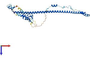 AlphaFold protein structure predicition of Mouse Recombinant Trim54 Protein, UniprotID Q9ERP3
