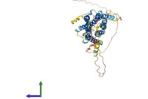 AlphaFold protein structure predicition of Mouse Recombinant Gpr150 Protein, UniprotID Q8BL07