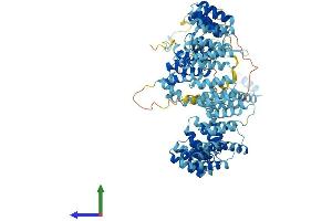 AlphaFold protein structure predicition of Human Recombinant PRPF6 Protein, UniprotID O94906