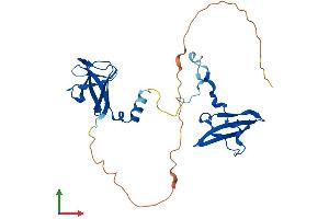AlphaFold protein structure predicition of Mouse Recombinant Prkab2 Protein, UniprotID Q6PAM0