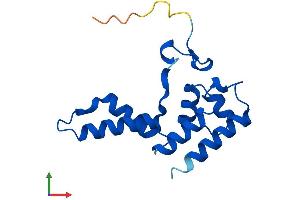 AlphaFold protein structure predicition of Human Recombinant POLR2D Protein, UniprotID O15514