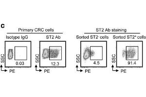 IL-33/ST2 upregulates COX2 expression through NF-κB signaling. (IL1RL1 anticorps  (AA 11-110))