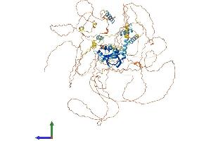 AlphaFold protein structure predicition of Human Recombinant MIS18BP1 Protein, UniprotID Q6P0N0