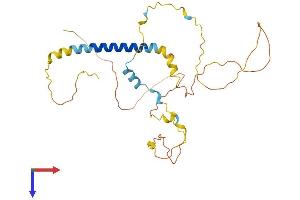 AlphaFold protein structure predicition of Human Recombinant PMEPA1 Protein, UniprotID Q969W9