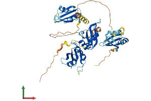 AlphaFold protein structure predicition of Human Recombinant RBM45 Protein, UniprotID Q8IUH3