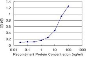 Sandwich ELISA detection sensitivity ranging from 3 ng/mL to 100 ng/mL. (SCGN (Humain) Matched Antibody Pair)