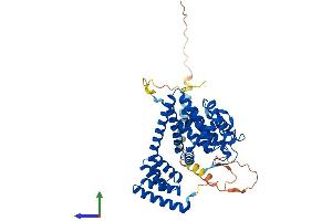 AlphaFold protein structure predicition of Human Recombinant FICD Protein, UniprotID Q9BVA6