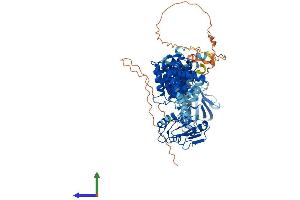 AlphaFold protein structure predicition of Mouse Recombinant Cmip Protein, UniprotID Q9D486