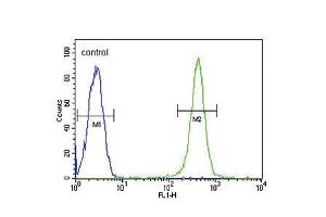 Flow cytometric analysis of Ramos cells (right histogram) compared to a negative control cell (left histogram). (GPI anticorps  (C-Term))