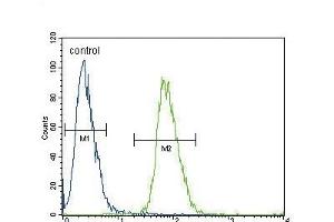 ADH4 Antibody (C-term) (ABIN654087 and ABIN2843975) flow cytometric analysis of 293 cells (right histogram) compared to a negative control cell (left histogram). (ADH4 anticorps  (C-Term))