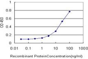 Detection limit for recombinant GST tagged TMEM115 is approximately 1ng/ml as a capture antibody. (TMEM115 anticorps  (AA 1-351))