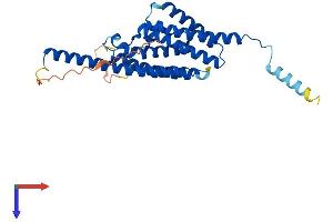 AlphaFold protein structure predicition of Mouse Recombinant Tsnax Protein, UniprotID Q9QZE7