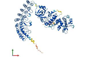 AlphaFold protein structure predicition of Human Recombinant RNASEL Protein, UniprotID Q05823