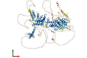AlphaFold protein structure predicition of Human Recombinant SREBF1 Protein, UniprotID P36956
