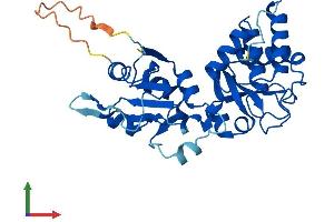 AlphaFold protein structure predicition of Human Recombinant STYXL1 Protein, UniprotID Q9Y6J8