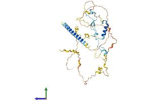 AlphaFold protein structure predicition of Human Recombinant MIIP Protein, UniprotID Q5JXC2