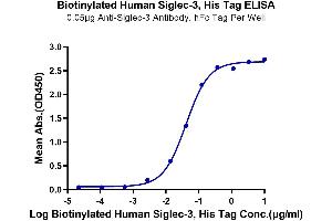 Immobilized Anti-Siglec-3 Antibody, hFc Tag at 0.