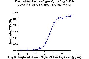 Immobilized Anti-Siglec-3 Antibody, hFc Tag at 0. (CD33 Protein (CD33) (AA 18-259) (His-Avi Tag,Biotin))