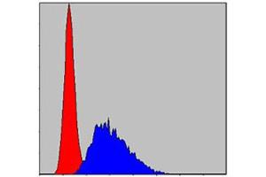 Flow cytometric analysis of NIH/3T3 cells using CASP8 monoclonal antibody, clone 1H11  (blue) and negative control (red).