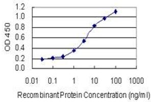 Detection limit for recombinant GST tagged DAZAP2 is 0.