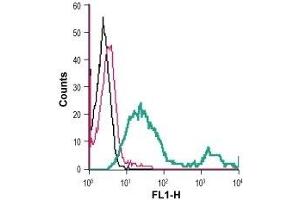 Cell surface detection of GLUT1 in mouse TK-1 T-cell lymphoma cells: (black line) Cells.