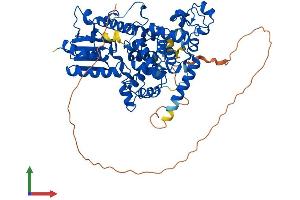 AlphaFold protein structure predicition of Mouse Recombinant Cry1 Protein, UniprotID P97784