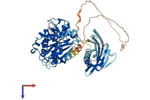 AlphaFold protein structure predicition of Mouse Recombinant Camk2b Protein, UniprotID P28652
