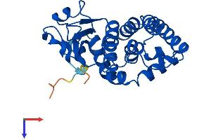 AlphaFold protein structure predicition of Mouse Recombinant Gsto2 Protein, UniprotID Q8K2Q2
