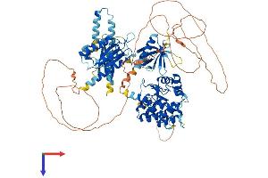 AlphaFold protein structure predicition of Human Recombinant AGAP1 Protein, UniprotID Q9UPQ3