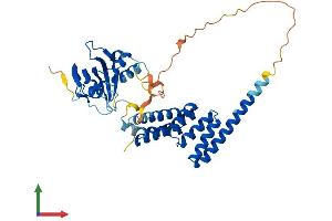 AlphaFold protein structure predicition of Human Recombinant AIPL1 Protein, UniprotID Q9NZN9