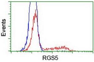 Image no. 2 for anti-Regulator of G-Protein Signaling 5 (RGS5) (AA 1-181) antibody (ABIN1490600) (RGS5 anticorps  (AA 1-181))