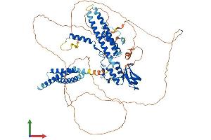 AlphaFold protein structure predicition of Mouse Recombinant Cnot3 Protein, UniprotID Q8K0V4