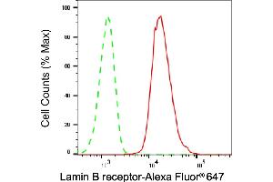 Flow cytometric analysis of Lamin B receptor expression in HAP-1 cells using Lamin B receptor antibody (ABIN7799230), 1:2,000). (Recombinant Lamin B Receptor anticorps)