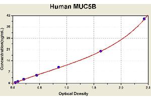 Diagramm of the ELISA kit to detect Human MUC5Bwith the optical density on the x-axis and the concentration on the y-axis. (MUC5B Kit ELISA)