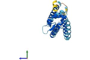AlphaFold protein structure predicition of Mouse Recombinant Tspan8 Protein, UniprotID Q8R3G9