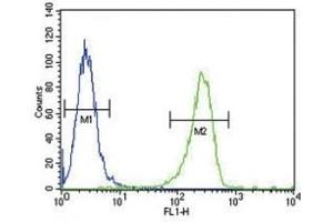 TPA antibody flow cytometric analysis of A2058 cells (green) compared to a negative control (blue). (PLAT anticorps  (AA 371-399))