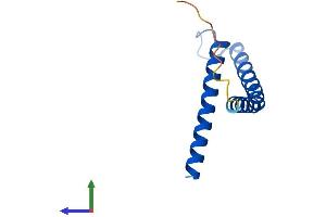 AlphaFold protein structure predicition of Human Recombinant TIMM10B Protein, UniprotID Q9Y5J6