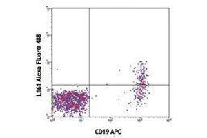 Flow Cytometry (FACS) image for anti-T-cell surface glycoprotein CD1c (CD1C) antibody (Alexa Fluor 488) (ABIN2657358) (CD1c anticorps  (Alexa Fluor 488))