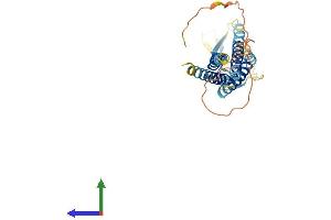 AlphaFold protein structure predicition of Mouse Recombinant Cacng5 Protein, UniprotID Q8VHW4