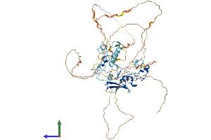 AlphaFold protein structure predicition of Human Recombinant MBD1 Protein, UniprotID Q9UIS9