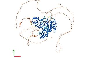 AlphaFold protein structure predicition of Human Recombinant MARK2 Protein, UniprotID Q7KZI7