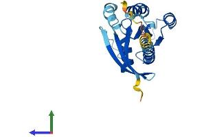 AlphaFold protein structure predicition of Mouse Recombinant Rab7b Protein, UniprotID Q8VEA8