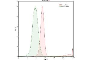 Detection of CD42d in Raji human Burkitt's lymphoma cell line using Polyclonal Antibody to Cluster of Differentiation 42d (CD42d)