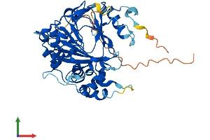 AlphaFold protein structure predicition of Human Recombinant ALKBH1 Protein, UniprotID Q13686